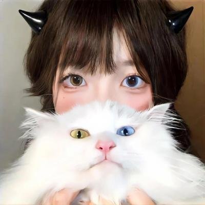 热血冰球梦